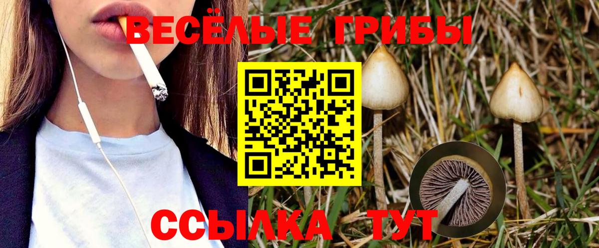 Галлюциногенные грибы мицелий  Вход с VPN  Воскресенск 